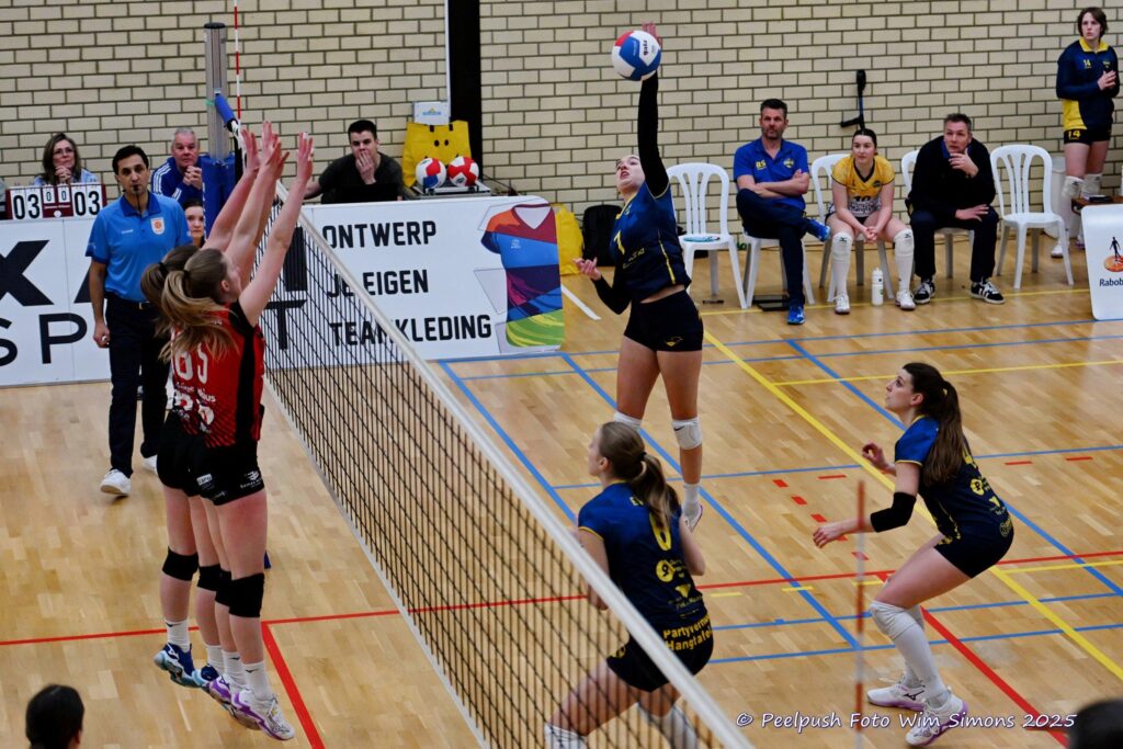 D1-Activia-18-02-2025_021