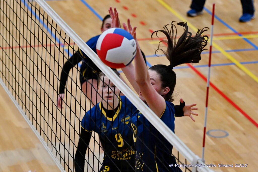 D1-Activia-18-02-2025_022