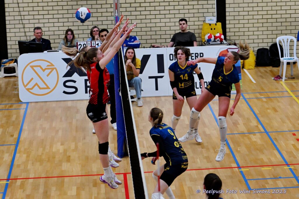 D1-Activia-18-02-2025_036