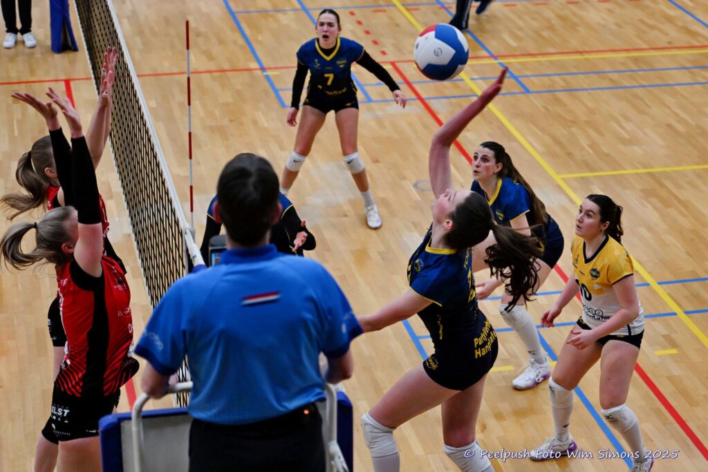 D1-Activia-18-02-2025_037