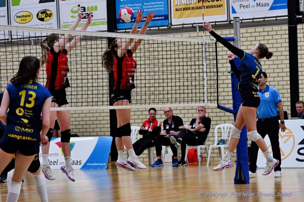 D1-Activia-18-02-2025_063