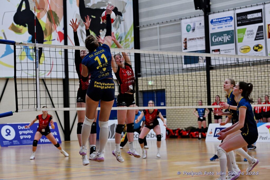 D1-Activia-18-02-2025_069