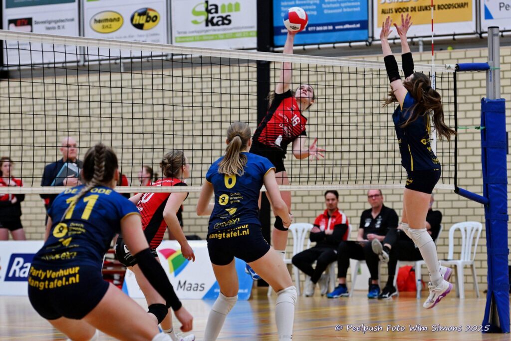 D1-Activia-18-02-2025_074