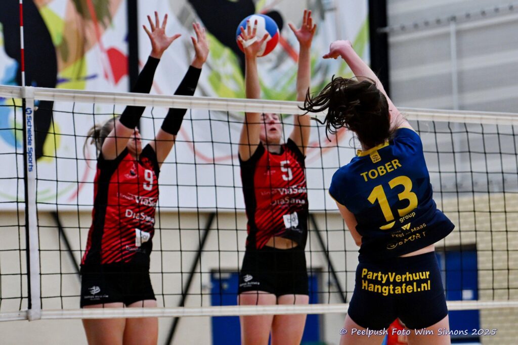 D1-Activia-18-02-2025_083