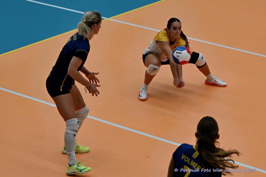 Peelpush D1 – Activia D1