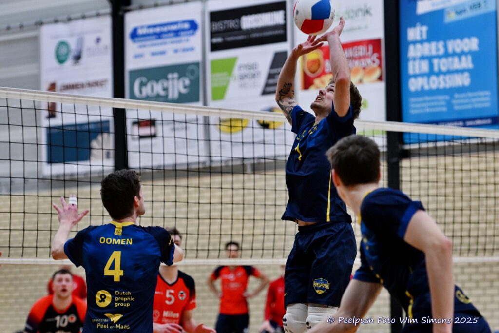 Peelpush H1 – Taurus H1