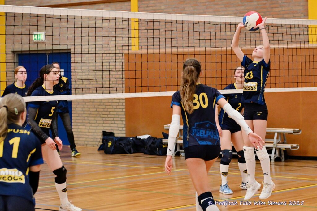 MB1-MB2-22-02-2025_044