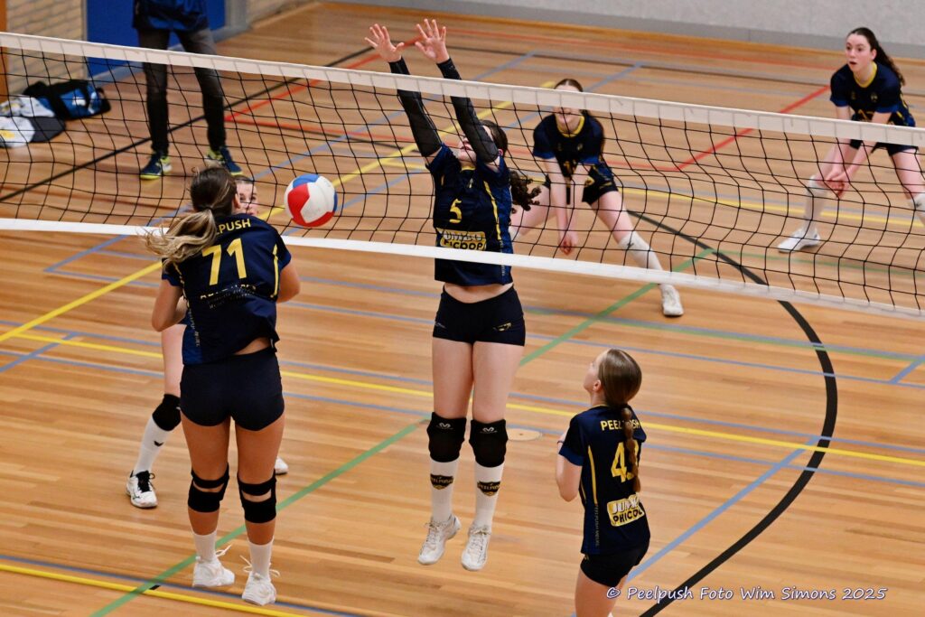 MB1-MB2-22-02-2025_053