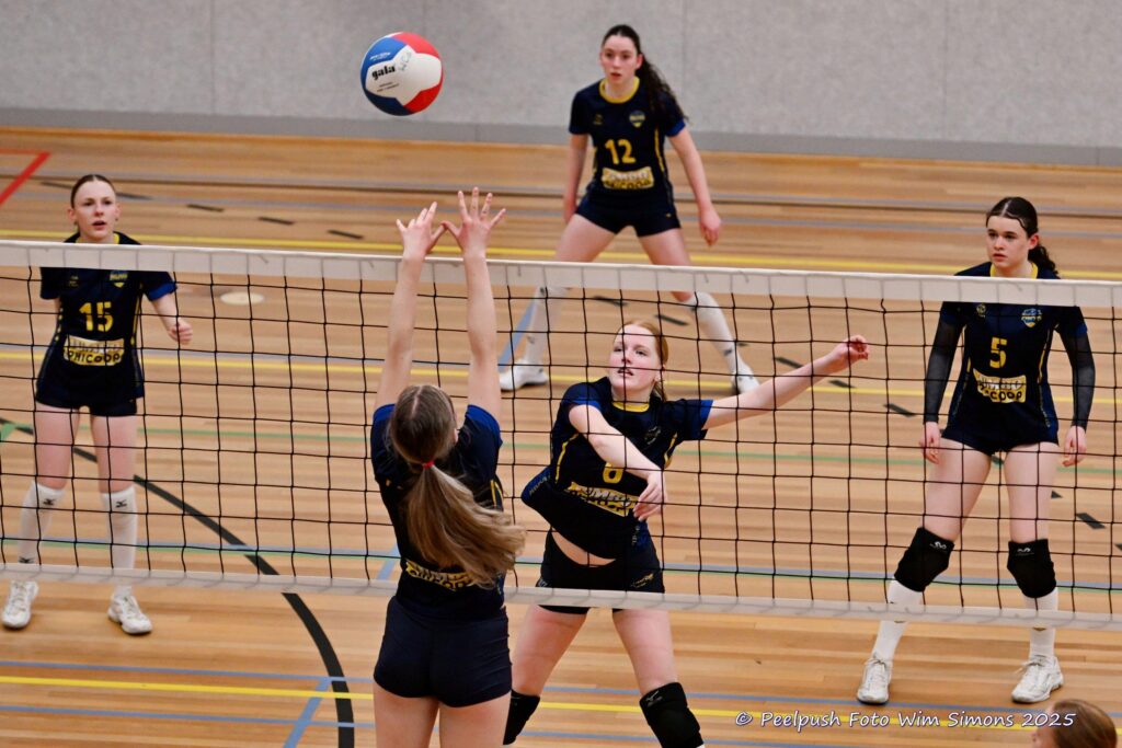 MB1-MB2-22-02-2025_073