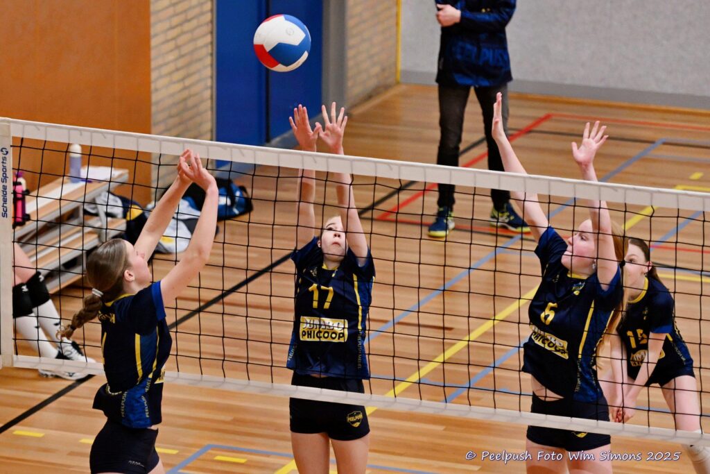 MB1-MB2-22-02-2025_075