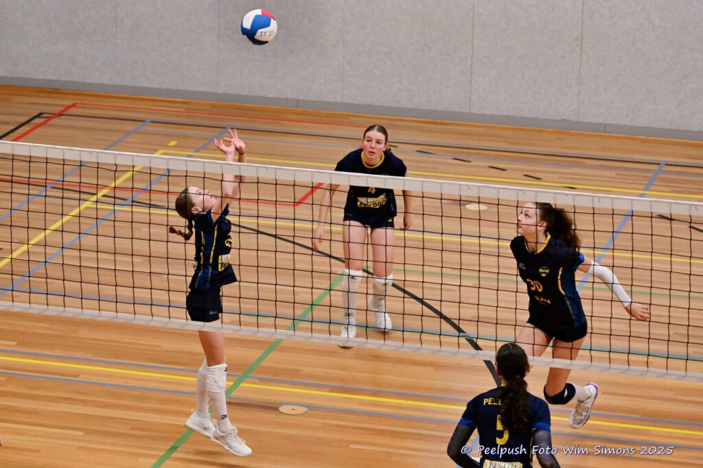 MB1-MB2-22-02-2025_081