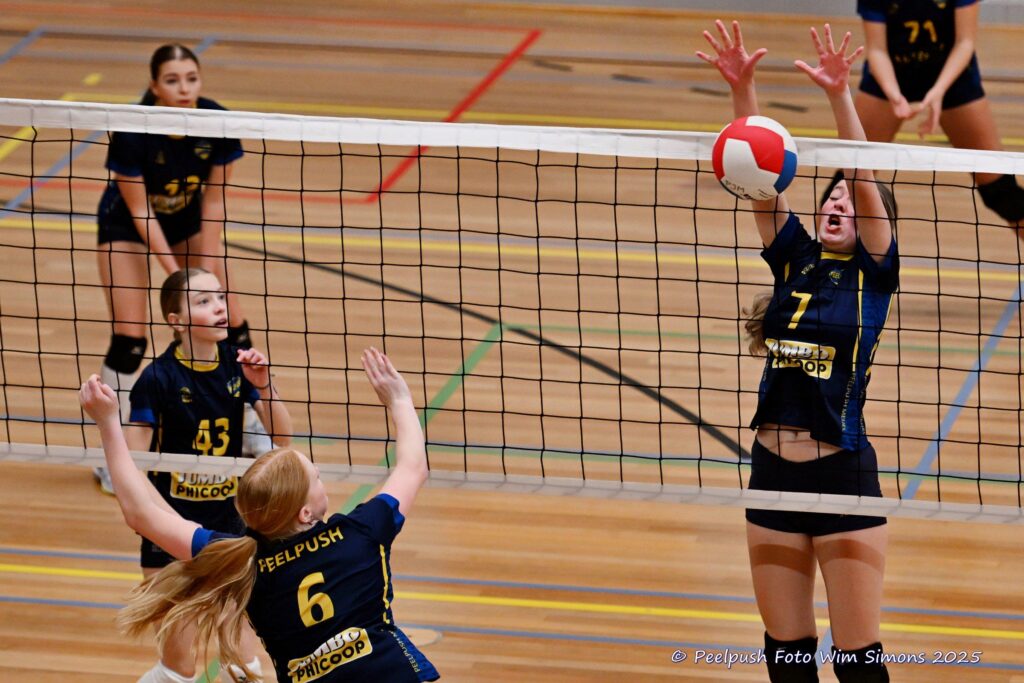 MB1-MB2-22-02-2025_102