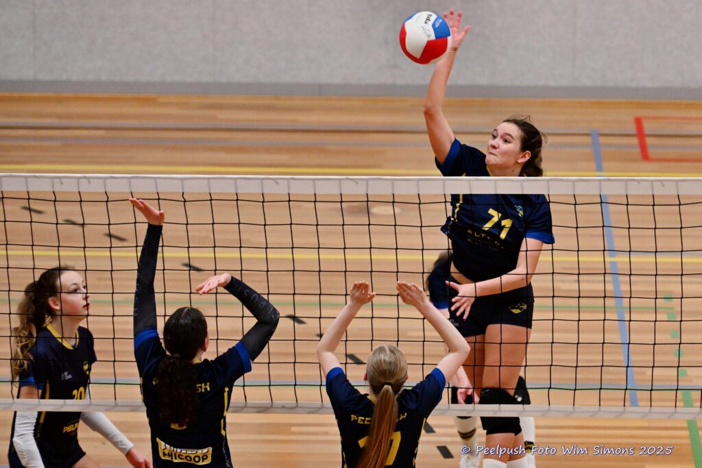 Peelpush MB1 – Peelpush MB 2