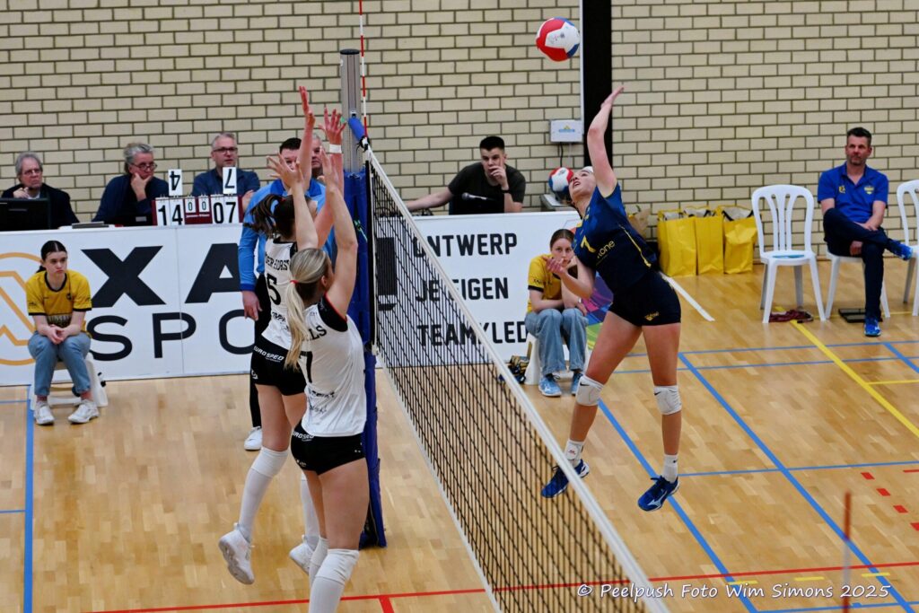 Peelpush D1 – Apollo D1