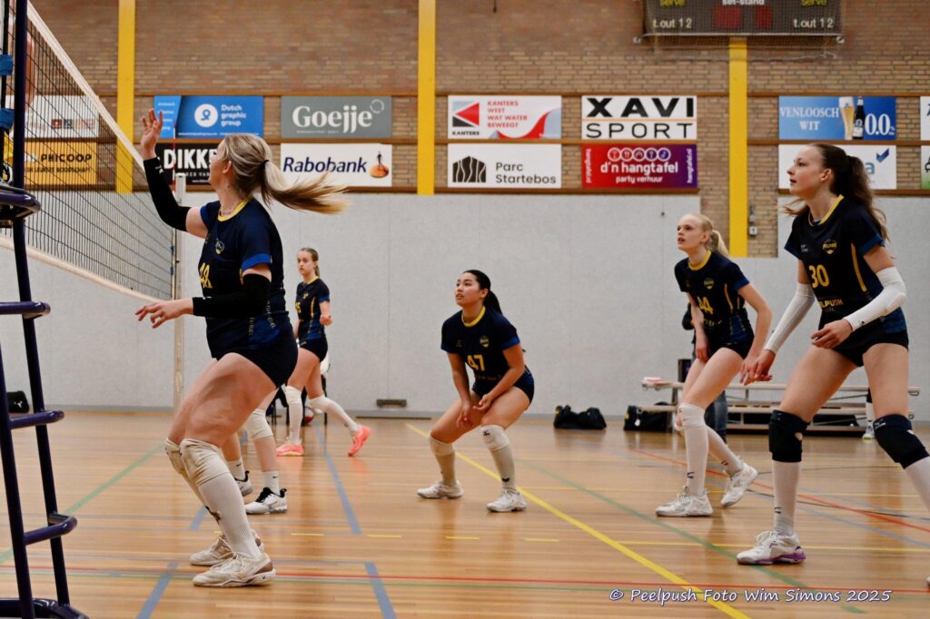 PPD4-Hovoc3-29-03-2025_032