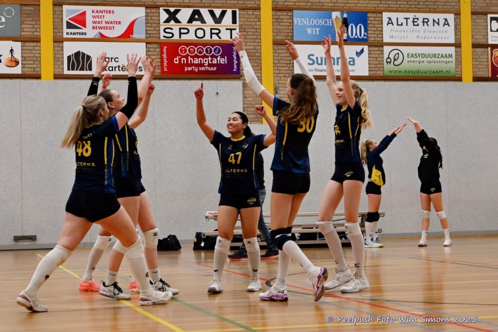 Peelpush D4 – Hovoc D3