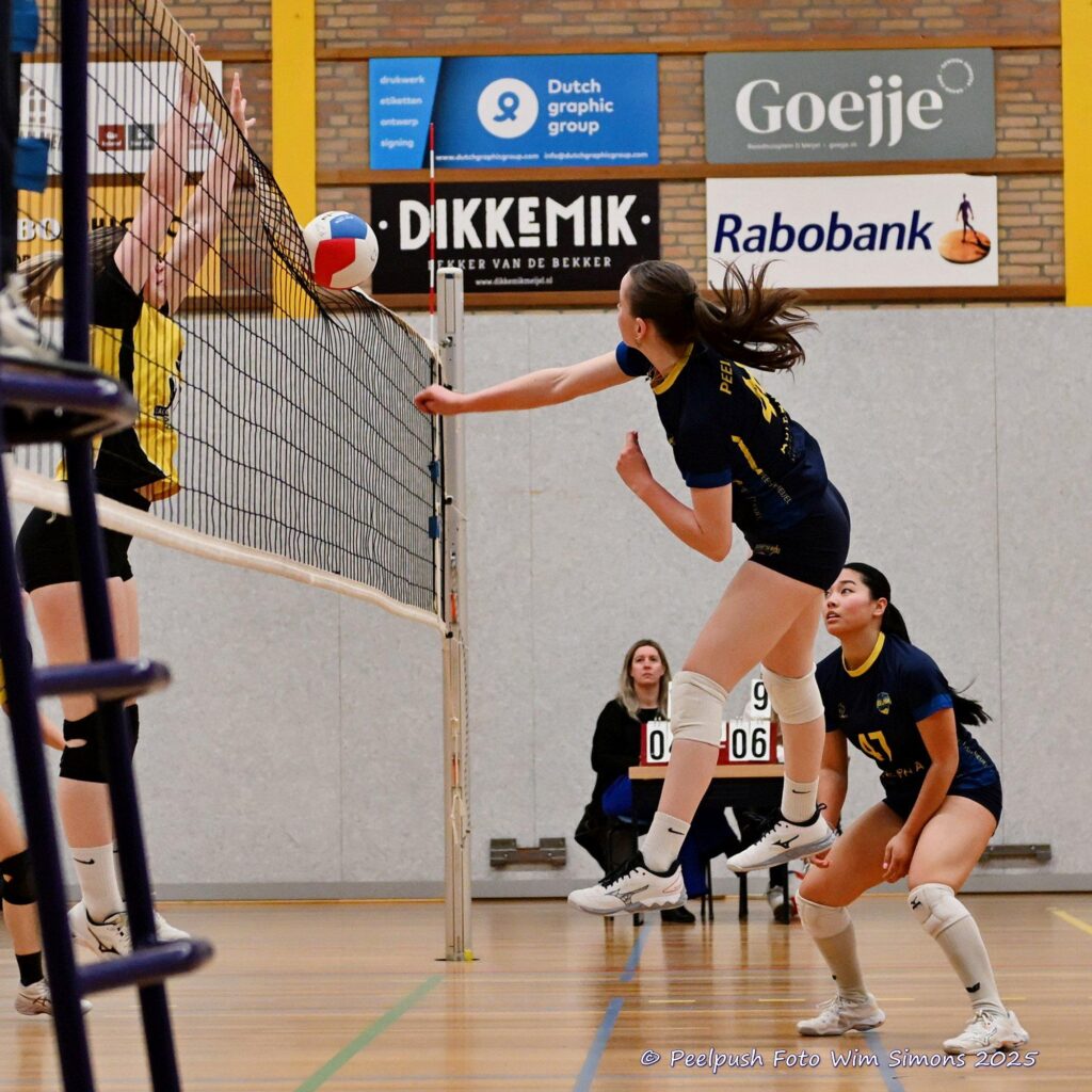 PPD4-Hovoc3-29-03-2025_042